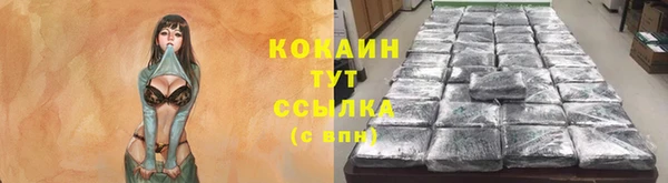 ПСИЛОЦИБИНОВЫЕ ГРИБЫ Абинск