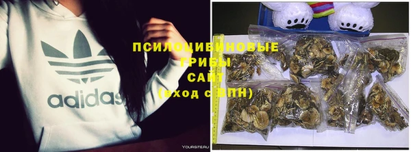 ПСИЛОЦИБИНОВЫЕ ГРИБЫ Абинск