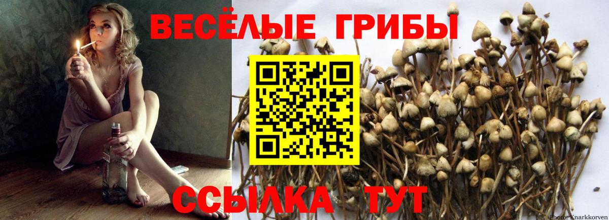 Галлюциногенные грибы Magic Shrooms  Псилоцибиновые грибы ЛСД  Нефтеюганск  Вход с VPN 